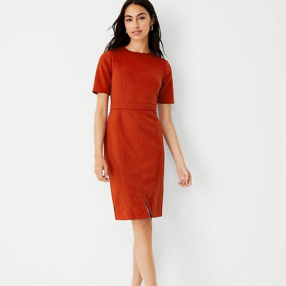 Ann Taylor Dresses & Skirts - NWT Ann Taylor Short Sleeve Sheath Dress
